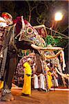 Elephants at the Kandy Perahera Festival, Kandy, Sri Lanka