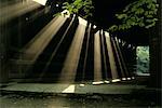 SUNLIGHT RAYS LEAKING THROUGH ROOF ALLEY ABANDONED COVERED BRIDGE