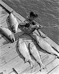 ANNÉES 1930 GARÇON ASSIS SUR LE QUAI AVEC 5 GRANDS POISSON PÊCHE AVEC STICK POLE