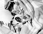 1950s BOY HIDING UNDER BLANKET IN BED WITH DOG