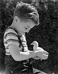 1950s BOY HOLDING BABY DUCK SMILING SUMMER OUTDOOR