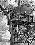 1960s KIDS PLAYING IN TREE HOUSE