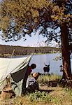 1950s GRAND TETON NATIONAL PARK WYOMING TWO CHILDREN IN TENT LOOKING AT DEER BY LAKE