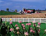 90ER JAHRE BAUERNHOF MIT WEIßEN ZAUN UND BLUMEN WINESBURG OHIO