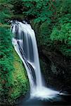 BUTTE CREEK FALLS SANTIAM STATE FOREST, OREGON