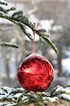 Red Bauble on Christmas Tree with Reflection