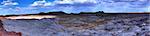 Panorama of the petrified forest in Arizona
