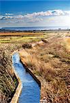 Rural landscape with irrigation channel and fields