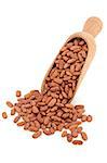 Pinto bean pulses in a wooden kitchen scoop and scattered isolated over white background. Selective focus.