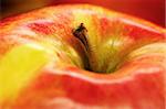 Detail of a ripe red and green fresh apple.