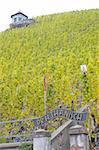 vineyard Doctor, Bernkastel, Rheinland Pfalz, Germany