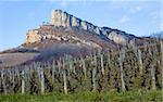 La Roche de Solutré with vineyards, Burgundy, France