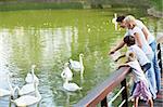 Families with children feeding white swans