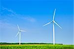 Green alternative clean power wind turbines in field