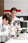 Portrait of a science student looking in a microscope in a laboratory