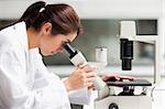 Focused female science student looking in a microscope in a laboratory