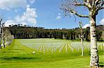 American cemetery outside Florence, Italy