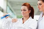 Scientists pouring liquid in an Erlenmeyer flask in a laboratory