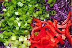 Chopped ingredients of salad. Green onions, sweet pepper, red cabbage.