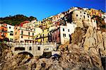 Manarola village, Cinque Terre, Italy, Europe