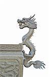 Chinese dragon statue