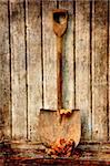 old fashion spade with dry leaves against an old wooden wall.