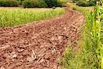 plowed field, brown earth rural landscape