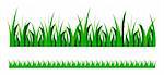 vector set illustration of green grass isolated over white background