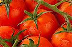 Tomatoes on the vine, a food background