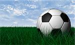 Soccer ball render over green grass and blue sky