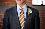 Image of a Gray Plaid suit with tan stripes and boutonniere