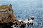 Rocky cliffs, the Black Sea coast