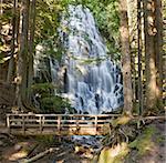 Ramona Falls and Wooden Foot Bridge along Hiking Trail in Oregon