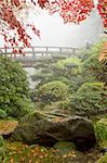 Rock and Bridge under the Maple Tree at Japanese Garden