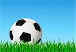 vector soccer ball in green grass and blue sky
