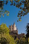 Alcazar of Segovia framed with the leafs of a tree