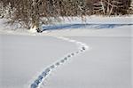 An image of a winter scenery with foot steps in the snow