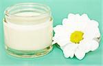 open jar with cream and camomile  flower on green background