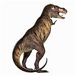 Tyrannosaurus Rex was one of the largest carnivores of the Cretaceous Period of Earths history. Its fossils have been found in western North America. Its name means Tyrant Lizard King.