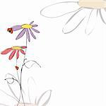 Spring summer floral with ladybirds on white background