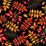 Autumn seamless black floral pattern with vivid leaves and  berries (vector)