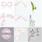 Set of various floral background greeting or birthday cards and invitations with orchids, lilly of the valley, peonies, crocus, cherry blossom, spring and summer flowers