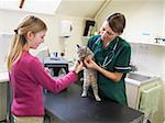 Young Girl Bringing Cat For Examination By Vet