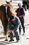 Vet In Discussion With Horse Owner