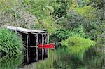 Loxahatchee River in Jonathan Dickinson State Park, Jupiter, Florida