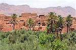 Adobe buildings in the biggest oasis of Morocco