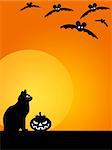 Halloween Carved Pumpkin Black Cat Moon and Flying Bats Illustration