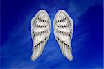 Angel wings on a dark blue sky