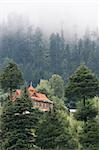 House in high mointains covered by coniferous forest and clouds, North India