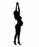 The Silhouette of the pregnant woman, on white background. The Vector.